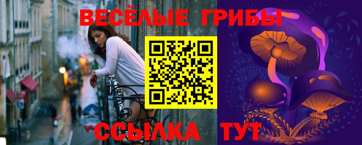 Псилоцибиновые грибы Psilocybe  как найти закладки  Шебекино  Вход с VPN  Псилоцибиновые грибы Psilocybe 
